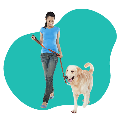 Ako naučiť psa vykonávať svoju potrebu vonku?