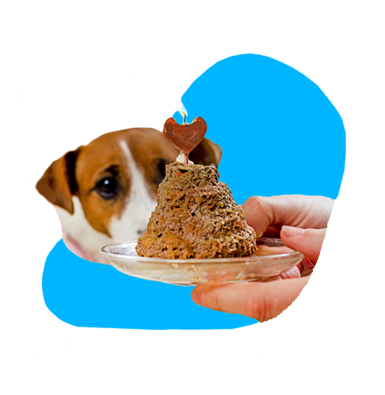 Ako pripraviť tortu pre psa?