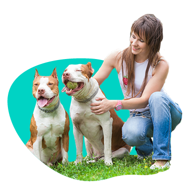 Druhý pes v dome – ako medzi sebou psy zoznámiť?