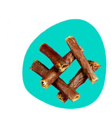 Hovädzie bachor pre vášho psa: oplatí sa ho kupovať?