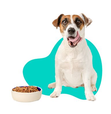 Monobielkovinové krmivo pre psov - čo to je, ktoré si vybrať?