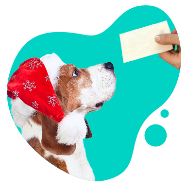 Môže pes zjesť oblátku?