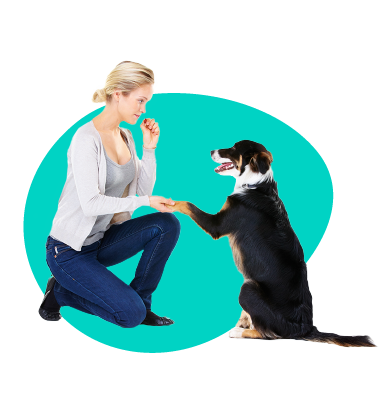 Psí behaviorista – kto to je a ako môže pomôcť?