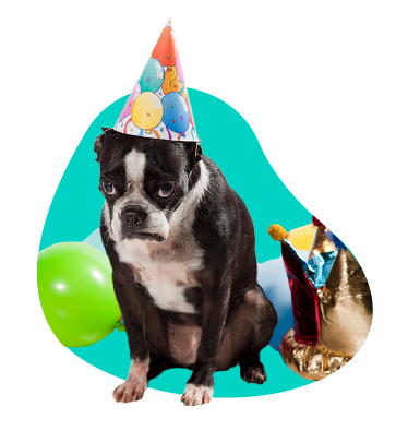 Silvester so psom - ako pomôcť svojmu psovi v tento náročný deň?