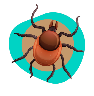 Tableta proti kliešťom pre psov: ako funguje?