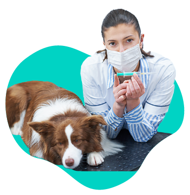 Úloha očkovania v imunite našich domácich miláčikov