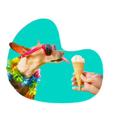 Zmrzlina pre psov: je zdravá alebo môže vášmu psovi ublížiť?