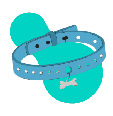 Obojok proti kliešťom: pre psa a mačku. Kedy a ako ho používať?